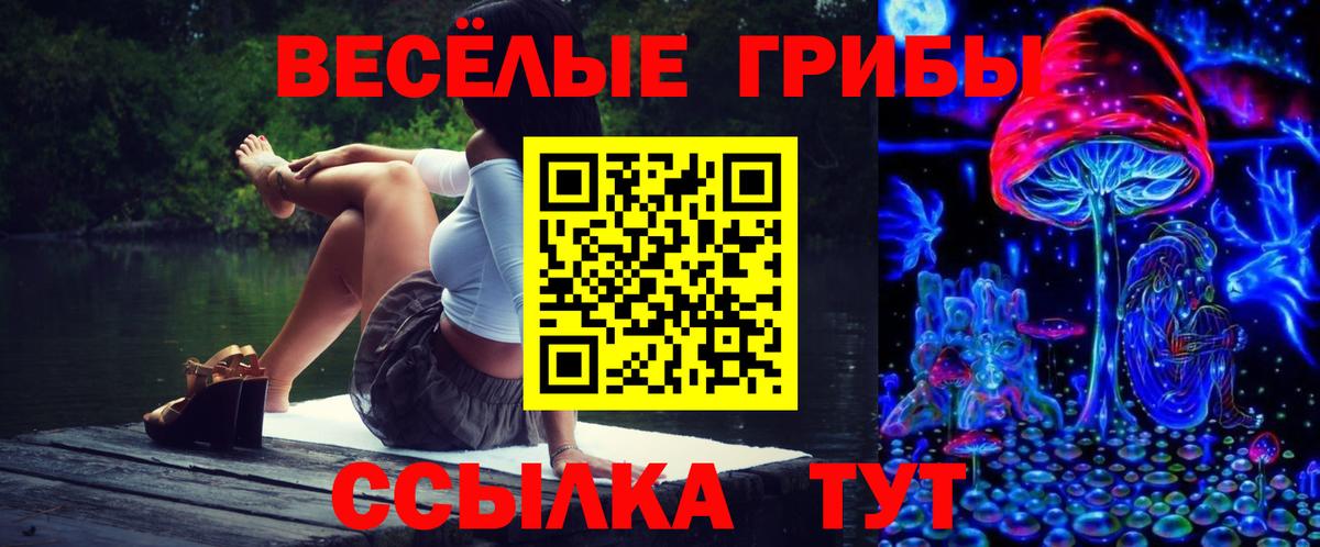 Галлюциногенные грибы Psilocybine cubensis Чапаевск